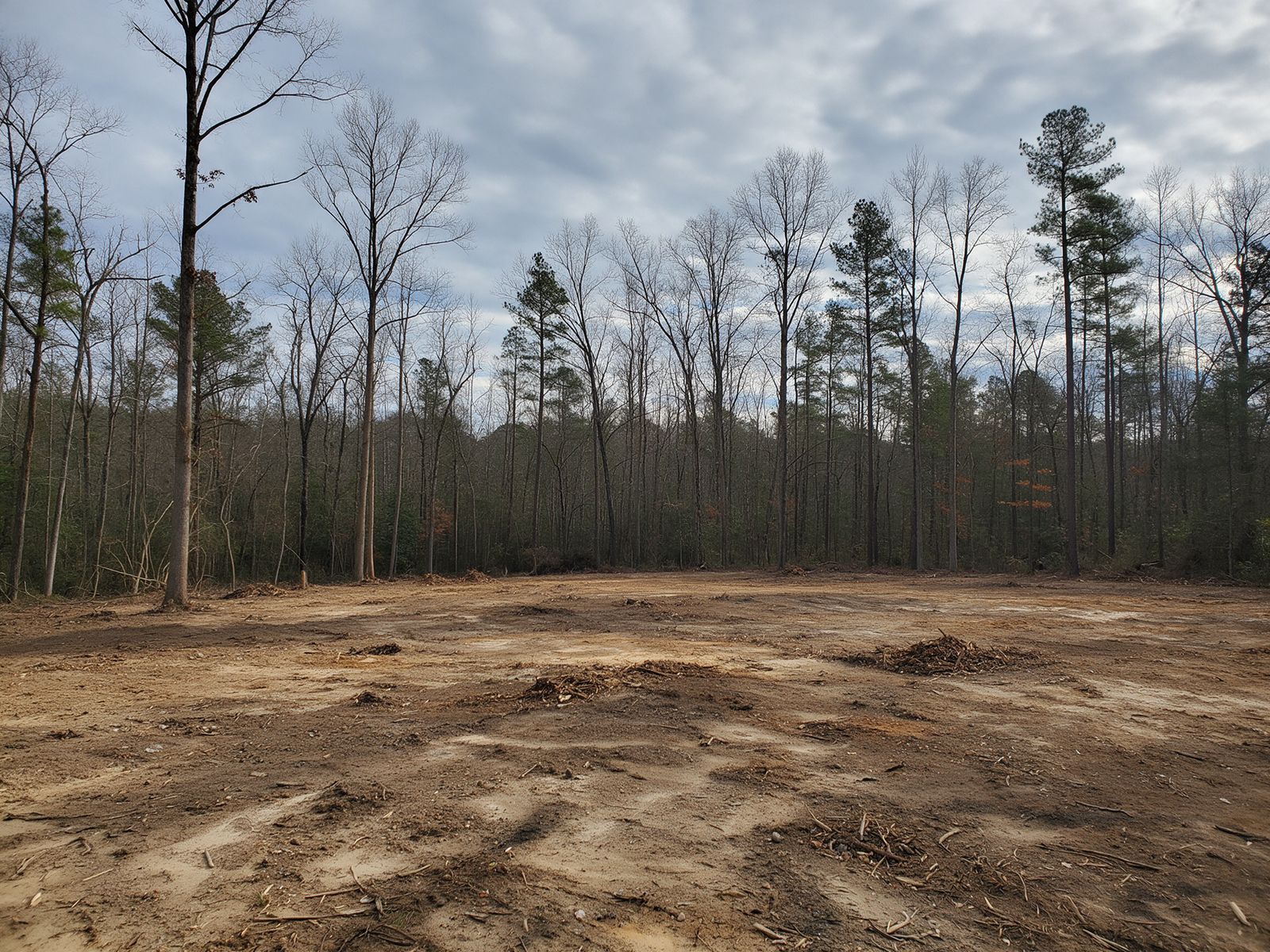 Brush Clearing in Gastonia, NC